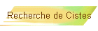 Recherche de Cistes